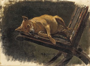 Dog, Lying Down. Creator: Karl Georg Arsenius.