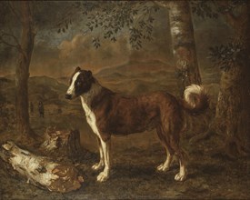 Dog and a Birch Log. Creator: Govert Dircksz Camphuysen.