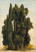 Cypresses. Study, 1843. Creator: Gustav Wilhelm Palm.