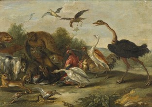 Battle between Owls and Quadrupeds. Creator: Jan van Kessel.