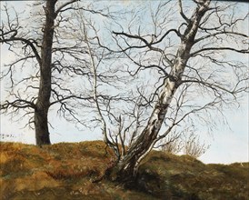 Oak and birch. Our.1832. Creator: Julius von Leypold.