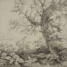 Landscape with a tree, ca 1630-1690. Creator: Anthonie Waterloo.