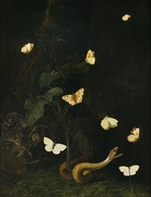 Herbs, Butterflies and a Serpent. Creator: Christian Jansz Striep.