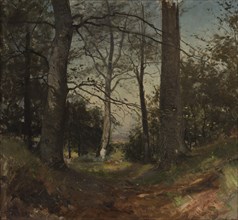 In the Forest. Motif from Stehag, Skåne. Study, 1870. Creator: Gustaf Rydberg.