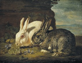 Two Rabbits, Detail from "Animal Piece", mid-late 17th century. Creator: David de Coninck.