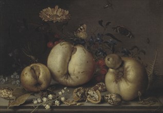 Still Life with Fruit and Shells. Creator: Balthasar van der Ast.