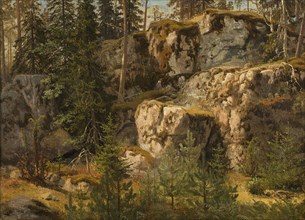 Stony Forest, 1853. Creator: Markus Larsson.