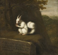 White Squirrel in a Landscape, 1697. Creator: David Klocker Ehrenstrahl.