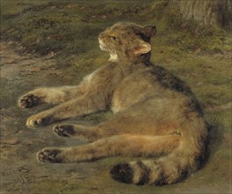 Wild Cat, 1850. Creator: Rosa Bonheur.