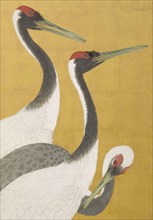 Cranes (image 7 of 20), An'ei period (1772-1780). Creator: Maruyama Okyo.