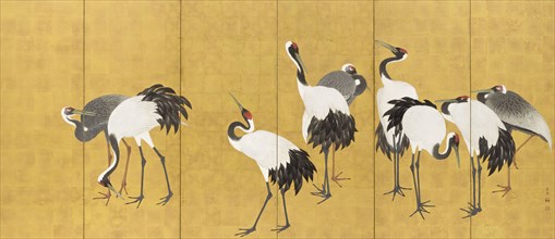 Cranes (image 2 of 20), An'ei period (1772-1780). Creator: Maruyama Okyo.