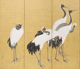 Cranes (image 3 of 20), An'ei period (1772-1780). Creator: Maruyama Okyo.