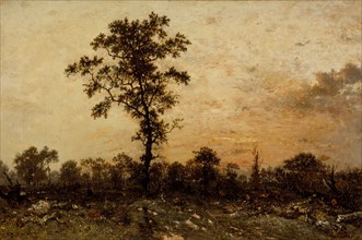 Edge of the Forest, Sun Setting, between c1845 and c1846. Creator: Theodore Rousseau.