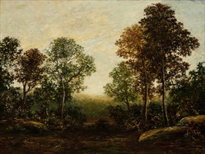 Landscape with Trees (image 1 of 2), between c1883 and c1898. Creator: Ralph Blakelock.