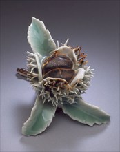 Double Chestnut, 19th century. Creator: Unknown.