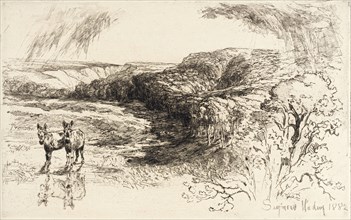 Encombe Woods, No. II, 1882. Creator: Francis Seymour Haden.