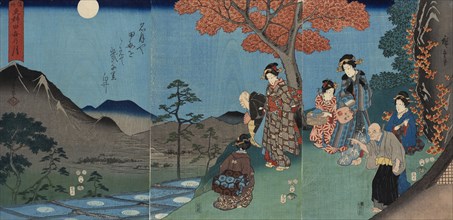 Moon Reflected in the Rice Fields at Sarashina in Shinano Province, 1858. Creator: Ando Hiroshige.