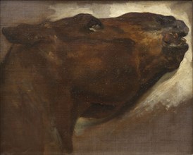 Study of a Dead Horse, early 19th century. Creator: Theodore Gericault.