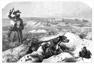 Grouse-shooting - from a drawing by Harrison Weir, 1860. Creator: Unknown.