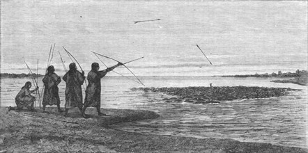''Turtle Shooting; The Fresh-water Turtle of the Amazons', 1875. Creator: Unknown.