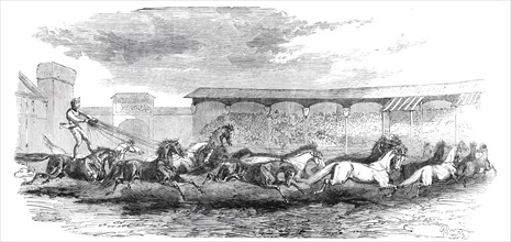 The Paris Hippodrome: seventeen horses driven by M. Marin, 1860. Creator: Harrison Weir.