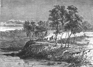 'Warrego Creek; Incidents of Bush Life in Queensland', 1875. Creator: Unknown.