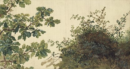 Study of Vegetation, mid-19th century. Creator: Kilian Christoffer Zoll.