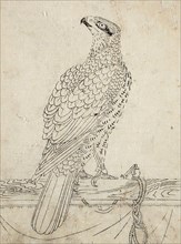 Hawk Tethered to a Perch, 1762. Creator: Unknown.