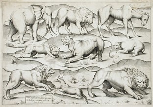 Sheet of Animals, 1547. Creators: Antonio Lafreri, Enea Vico.