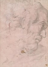 Head of A Bearded Man, between 1596 and 1641. Creator: Giovanni Angelo Canini.