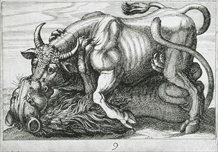 A Bull Fighting a Lion, 1610. Creator: Hendrick Hondius I.