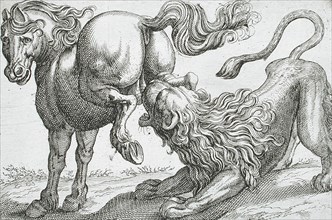 A Horse Kicking a Lion, 1610. Creator: Hendrick Hondius I.