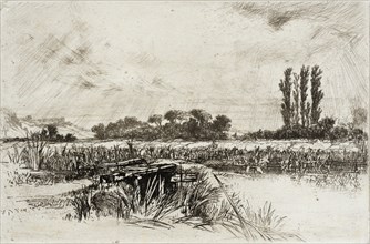 A Water Meadow, 1859. Creator: Francis Seymour Haden.