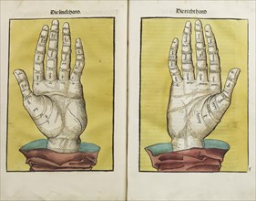Left and right hand, 1490. Creator: Unknown.