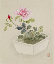 Leaf from Album Depicting Birds, Flowers, Landscapes, and Flower Pots, 1876. Creator: Yoshizawa Setsuan.