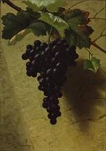 Bunch of Grapes, 1870s. Creator: Andrew John Henry Way.