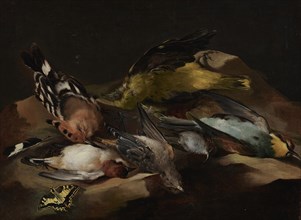 Still Life of Birds and a Butterfly, c1650. Creator: Unknown.