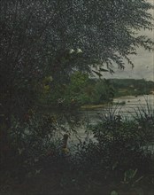 Willow Tree and Convolvulus in front of a River, 1865. Creator: Leon Bonvin.