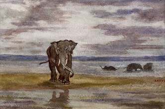Elephants in Water, c1850. Creator: Antoine-Louis Barye.