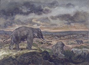 Elephants, c1867. Creator: Antoine-Louis Barye.