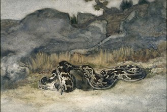 Python Swallowing a Roe-Deer, c1840s. Creator: Antoine-Louis Barye.