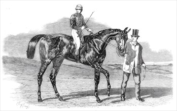Sweetsauce, the winner of the Stewards' and the Goodwood Cups, 1860. Creator: Unknown.