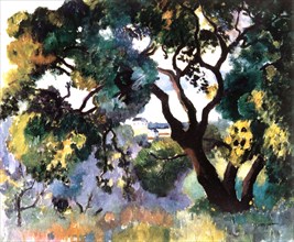 'Landscape at St Tropez', 1905