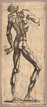Man Turning His Head to the Left, c. 1543. Creator: Juste de Juste.