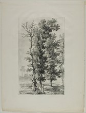 Study of Trees, c. 1817. Creator: Louis Pierre Baltard.