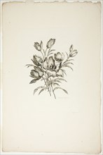 Bouquet with Tulips, from Collection of Different Bouquets of Flowers, I..., published July 4, 1760. Creator: Pierre-Charles Canot.