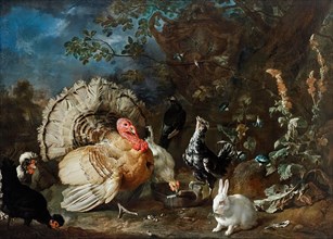 Poultry and rabbits, c1706. Creator: Franz Werner von Tamm.