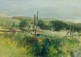Meadow with fence, c1870/1880. Creator: Johann Till.