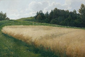The oat field, 1906. Creator: Adolf Kaufmann.