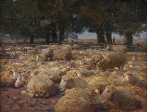 Sheep Park (Heidemoor), 1898. Creator: Heinrich von Zugel.